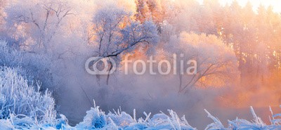 alexugalek, Frosty Christmas morning (winter, landschaft, natur, gefroren, schnee, weihnachten, blau, weiß, verschneit, hintergrund, kalt, landschaft, jahreszeit, eis, frost, wetter, frostig, wald, park, sonnenaufgang, rosa, orange, baum, hell, morgens, verzweigt, weihnachten, licht, bun)