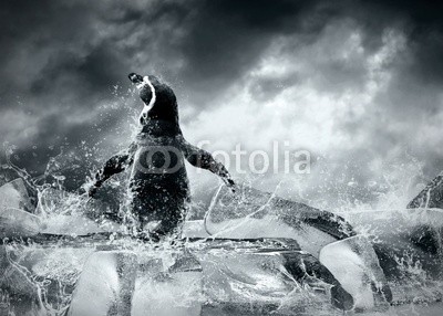 Andrii Iurlov, Penguin on the Ice in water drops. (pinguin, vögel, wasser, eis, natur, himmel, fallen lassen, tier, antarktis, antarktis, hell, wolken, kalt, eisig, pole, region, meer, jahreszeit, schnee, weiß, wildlife, arktis, groß, spiegelung, klima, marin, norden, polar, süden, schwimmen, schwimme)