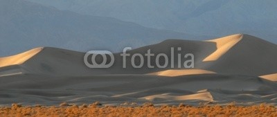 David Smith, sand dunes at sunset in death valley california (schwarz, blau, braun, bürste, death valley, california, staat, oden, menschenleer, verlassen, dramatisch, trocken, sanddünen, erforschen, glühen, gold, hügel, hang, illuminieren, isoliert, landschaft, national park, natur, draußen, aussen, einträchti)