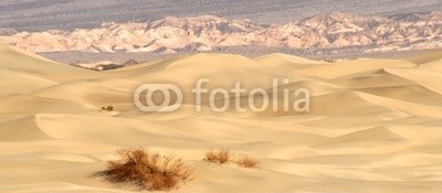 David Smith, rolling sand dunes with mountains in death valley california at (braun, bürste, busch, california, farbe, bunt, death valley, oden, menschenleer, verlassen, dreck, dramatisch, trocken, sanddünen, glühen, gold, gold, hitze, hügel, hang, hot, isoliert, landschaft, licht, national park, natur, draußen, ausse)