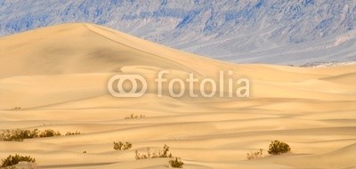 David Smith, large sand dune at sundown in death valley california (braun, bürste, busch, california, farbe, bunt, death valley, oden, menschenleer, verlassen, dreck, dramatisch, trocken, sanddünen, glühen, gold, gold, hitze, hügel, hang, hot, isoliert, landschaft, licht, national park, natur, draußen, ausse)