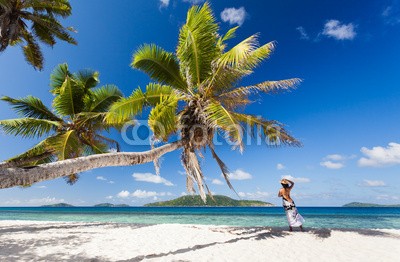 Beboy, seychelles plage cocotier (seychellen, strand, kokospalme, palme, welle, meer, ozean, tropics, tropics, tropisch, tropisch, exotismus, urlaub, vakanz, blues, türkis, himmel, paradiesisch, palme, bucht, latium, insel, lagune, indianer, kokos, sand, weiß, reisen, sonn)