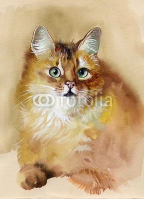 Nadiia Starovoitova, Red cat (tier, kunst, pinselstrich, karte, katze, schöner, bunt, hübsch, haustier, spielerisch, schauend, weich, flaumig, jugendzeit, ausdruck, wash, jahrgang, details, stutzen, entwerfen, zeichnung, grafik, abbildung, postkarte, papier, bemalt, retro, rot, orang)