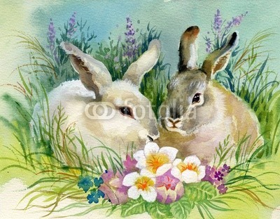 Nadiia Starovoitova, Watercolor Illustration: Rabbits (tier, kunst, aufmerksam, backgrounds, braun, hase, exemplar, paar, hübsch, ohr, ostern, europäisch, fein, front, voll, pelzig, hand, horizontale, abbildung, innen, gemacht, säugetier, natur, gehorsam, paar, hase, sitzend, raum, art, platsch, zusamme)