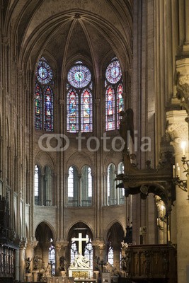Blickfang, Notre Dame Paris (paris, notre dame, kirche, dom, frankreich, sehenswürdigkeit, touristisch, vertikal, innerlich, do)