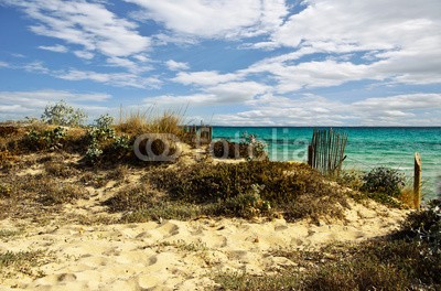 doris oberfrank-list, Sommer-Urlaub: Dühnenstrand an Mittelmeer / Mallorca (badewannen, stranden, strandurlaub, brandung, sanddünen, sanddünen, urlaub, gull, gull, meer, sand, sand, küste, wellenbrecher, strom, himmel, blau, wolken, fliege, nordsee, ostsee, mittelmeer, fliegender, fliegender, flügel, postkarte, sommer, urlau)