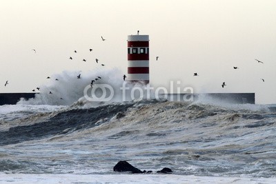 Zacarias da Mata, Douro waves (pfeiler, ozean, leuchtturm, leuchtfeuer, sturm, welle, atlantic, groß, vögel, kalamität, klima, farbe, wirbelsturm, gefahr, dunkel, tage, katastrophe, dramatisch, energie, fließen, freiheit, gott, schwer, hoffnung, horizont, orkan, landschaft, lich)