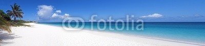 FER737NG, Caribbean beach. (strand, paradise, karibik, meer, blau, ozean, palme, baum, küste, küste, sand, urlaub, traum, schwarm, bellen, hell, sommer, insel, seelandschaft, natur, tropisch, reisen, wolken, küstenlinie, türkis, paradiesisch, froh, schöner, gelassenhei)