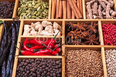 andriigorulko, spices and herbs in wooden box (essen, gewürz, kraut, würze, zutaten, würze, aroma, aromatisch, box, holz, hölzern, kultur, pfeffer, chilies, chiles, zimt, kardamom, vanille, koriander, anis, muskatnuß, gewürznelke, piment, calamus, bockshornklee, ingwer, rosmarin, zwiebel, trocke)