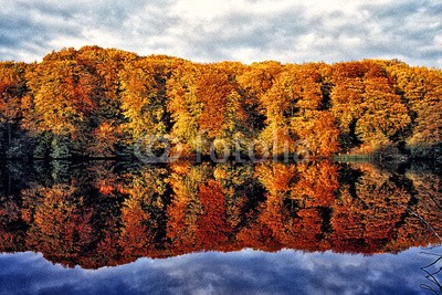 Frank Waßerführer, Herbstspiegel (ast, baum, blatt, bunt, wasser, herbst, herbstlaub, jahreszeit, laub, mecklenburg-vorpommern, natur, reisen, rügen, see, spiegelung, brücke, umwelt, wald, wasser, as)