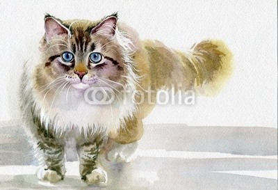 Nadiia Starovoitova, Watercolor Animal Collection: Cat (tier, kunst, blau, pinselstrich, schmetterling, karte, katze, ament, clipart, bunt, entwerfen, zeichnung, ausdruck, grafik, grau, abbildung, katzenbaby, katze, alt, malerei, papier, haustier, katze, shading, sketch, symbolisch, vorlage, klang, jahrgan)