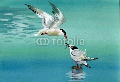 Nadiia Starovoitova, Watercolor birds (tier, kunst, kunstvoll, artwork, vögel, blau, brise, hell, bunt, kreativität, entwerfen, essen, federn, fisch, fischfang, flug, fliegender, essen, freiheit, frische, gull, handgemacht, handarbeit, horizont, horizontale, eindrücke, landschaft, mahlzei)