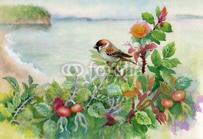 Nadiia Starovoitova, Watercolor sparrow on dog-rose (tier, tier, kunst, backgrounds, schöner, vögel, blühen, verdammt, blühen, erbluhen, verzweigt, hunds-rose, zeichnung, floral, blume, gärten, grafik, anbauend, abbildung, see, leaf, lonely, natur, draußen, malen, malerei, rosa, rivers, jahreszei)