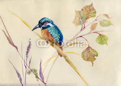 Nadiia Starovoitova, Common Kingfisher bird (tier, kunst, backgrounds, vögel, birdie, blau, pinselstrich, karte, clipart, bunt, farbe, gemeiner, entwerfen, zeichnung, exotisch, ausdruck, fauna, fischer, wald, gouache, grafik, grün, abbildung, eisvogel, leaf, linie, natürlich, natur, malerei, papie)