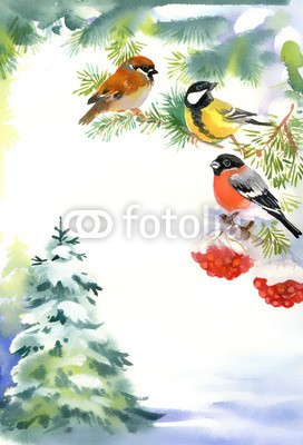 Nadiia Starovoitova, Two birds and bullfinch on the snowy branch (tier, kunst, artwork, backgrounds, schnäbel, schöner, schönheit, vögel, verzweigt, brier, hell, gimpel, weihnachten, christbaum, kalt, farbe, bunt, kreativität, entwerfen, details, frost, hand, handarbeit, abbildung, isoliert, natürlich, natur,)