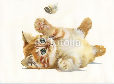 Nadiia Starovoitova, Watercolor Animal Collection: Cat and feather (tier, kunst, blau, pinselstrich, schmetterling, karte, katze, ament, bunt, entwerfen, zeichnung, ausdruck, federn, grafik, abbildung, katzenbaby, katze, malerei, papier, haustier, katze, rot, shading, sketch, symbolisch, vorlage, klang, jahrgang, was)