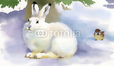 Nadiia Starovoitova, Winter rabbit (tier, kunst, artwork, backgrounds, schöner, blau, rasse, hase, feier, weihnachten, lebewesen, wissbegierig, dezember, dekoration, entwerfen, ohr, bauernhof, flaumig, einfrieren, pelz, hase, urlaub, eis, abbildung, abbild, jan, little, säugetier, neu,)