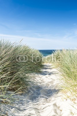 reachart777, Dune with beach grass close-up. (sanddünen, strand, meer, gras, sommer, sand, norden, sylt, gehwege, wasser, blau, horizont, seelandschaft, holland, europa, bretagne, natur, grün, atlantic, himmel, sanddünen, draußen, umwelt, küstenlinie, schöner, reisen, niemand, background)