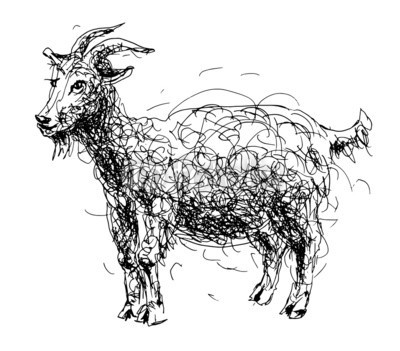 Kara-Kotsya, sketch doodle drawing of goat or sheep, chinese lunar symbol 201 (sketch, kritzeleien, zeichnung, ziege, schaf, symbol, 2015, tier, cartoons, charakter, weihnachten, häusliche, abbildung, isoliert, kunst, chinese, elemente, grafik, horoskop, tinte, schwarz, weiß, stil, trendy, china, dekoration, entwerfen, icon, mon)