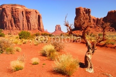 David Smith, Large rock formations in the Navajo park Monument Valley (oden, landschaft, monument valley, fels, sand, szenerie, reisen, uns, urlaub, joshua tree, arizona, blau, butte, schlucht, wolken, landschaft, morgengrauen, hügel, horizont, indianer, isoliert, reise, licht, monuments, berg, indianer, natur, navaj)