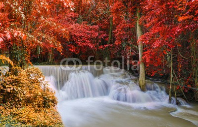 casanowe, Waterfall in deep rain forest jungle (Huay Mae Kamin Waterfall i (wasserfall, wald, rivers, wasser, wild, park, fels, strömen, kühl, nass, baum, laubwerk, tropisch, grün, frühling, flüssig, konserven, schwimmen, szenerie, sauber, paradise, strömend, himmel, wunderbar, flüsschen, zuwachs, fallen, entspannen, pflanz)