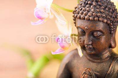Floydine, Buddha (entspannen, meditation, entspannung, yoga, wellness, wohlbefinden, physiotherapie, massage, gesundheit, balance, pray, religion, buddhas, gebet, buddhismus, glaube, glaube, spa, spiritual, spiritualität, einträchtig, beschaulichkeit, reinheit, natu)