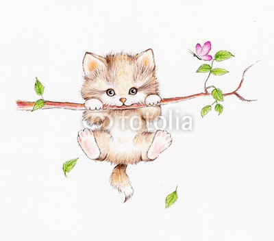 ciumac, Kitten hanging on a tree (spassig, katze, süss, kunstvoll, schöner, karte, cartoons, kind, farbe, kunst, hübsch, zeichnung, gezeichnet, spaß, geschenk, begrüssung, hand, katzenbaby, urlaub, abbildung, liebe, bemalt, stift, postkarte, geburtstag, kinder spielzeug, baby, katz)