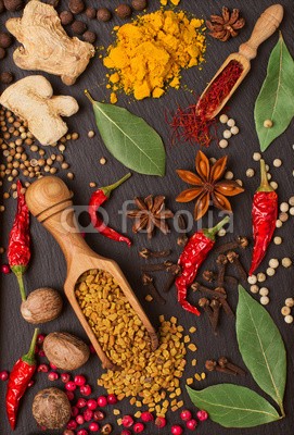 andriigorulko, still life with spices and herbs (gewürz, kraut, würze, stilleben, rahmen, different, schwarz, zutaten, essen, hell, bunt, zimt, chilies, pfefferkörner, pfeffer, lorbeerblatt, lorbeer, ingwer, anis, stern, bockshornklee, koriander, muskatnuß, gewürznelke, rot, rosa, grün, schleng)