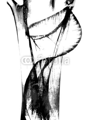 shooarts, Abstract ink paint vector background (abstrakt, abstraktion, kunst, kunstvoll, kulisse, backgrounds, schwarz, bürste, kreativ, kreativität, dab, entwerfen, remis, zeichnung, entladen, färben, grafik, grau, grunge, abbildung, tinte, linie, flüssigkeit, malen, malerei, papier, muster)