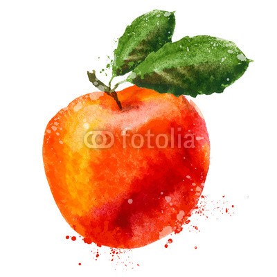 ~ Bitter ~, fruit vector logo design template. Peach or Apple icon. (obst, vektor, firmenlogo, entwerfen, vorlage, pfirsich, apfel, icon, wasserfarben, isoliert, vegetarisch, reif, natürlich, weiß, süss, rot, diät, organisch, leaf, zeichnung, malen, abbildung, gesund, textur, vitamine, farbe, sketch, kunst, kunstvol)