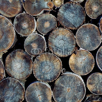 victor zastol'skiy, wood logs texture (holz, schnitt, baum, trunk, log, textur, sektion, kreuz, kreis, timber, backgrounds, ring, natur, alt, isoliert, hölzern, mustern, bauholz, ring, natürlich, braun, slice, werkstoff, jahre, mittig, wald, close-up, details, industrie, kreisförmig, altern)