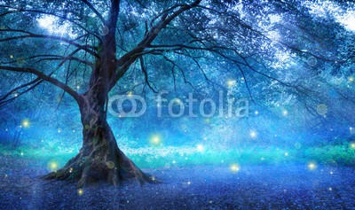Romolo Tavani, Fairy Tree In Mystic Forest (baum, magisch, fantasy, fairy, wald, natur, märchen, einsame, vorstellung, surreal, lonely, verzaubert, licht, blau, mysterium, nebel, traum, geheimnisvoll, sonnenschein, abend, grün, wil)