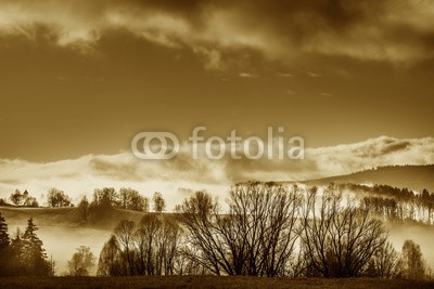 Vera Kuttelvaserova, morning fog and a forest (morgens, nebel, wald, baum, sonne, gelb, orange, rot, sonnenaufgang, sonnenuntergang, abend, sun rays, verzweigt, hell, bunt, farbe, staat, landschaft, morgengrauen, tage, feld, nebelig, laubwerk, landschaft, wiese, nebel, natur, park, ländliche, szen)