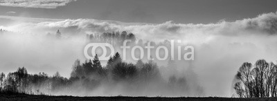 Vera Kuttelvaserova, morning fog and a forest (morgens, nebel, wald, baum, sonne, sonnenaufgang, sonnenuntergang, abend, sun rays, verzweigt, hell, bunt, farbe, staat, landschaft, morgengrauen, tage, feld, nebelig, laubwerk, landschaft, wiese, nebel, natur, park, ländliche, szene, landschaftlic)