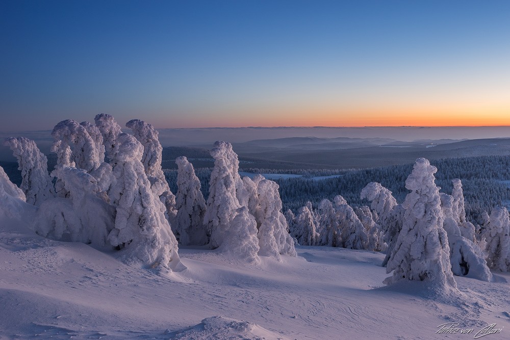 Konfiguration benutzen (Berg, Winter, Schnee, Tannen, Schnee, Schneehauben, eingeschneit, Sonnenuntergang, Idylle, Panorama, Wunschgröße, Treppenhaus, Wohnzimmer, Fotografie,)