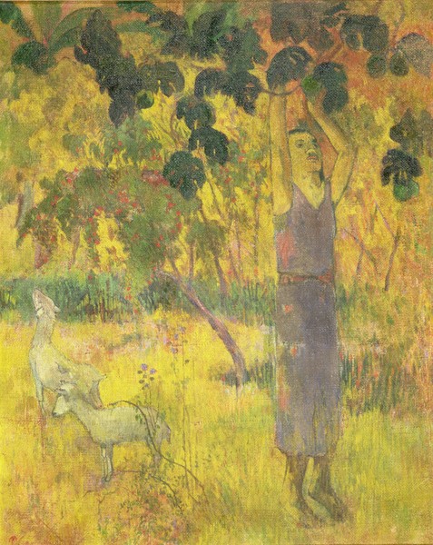 Paul Gauguin, Man Picking Fruit from a Tree, 1897 (oil on canvas)