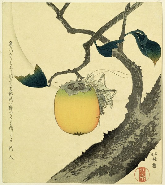 Katsushika Hokusai, Moon, Persimmon and Grasshopper, 1807 (colour woodcut)