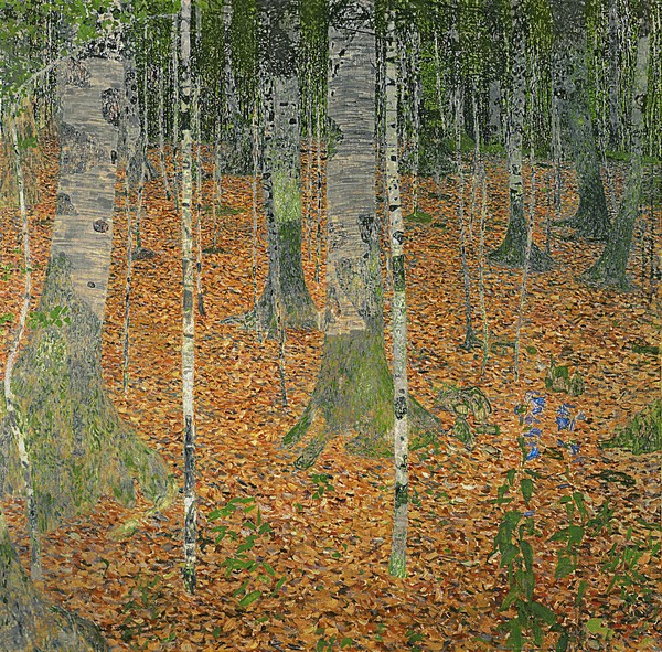 Gustav Klimt, The Birch Wood, 1903 (oil on canvas) (Klassische Moderne,dekorativ, Jugendstil, Wald, Buchen, Birken, Laub, bunt, Wohnzimmer, Treppenhaus, Schlafzimmer, Wintergarten, Malerei, Wunschgröße)