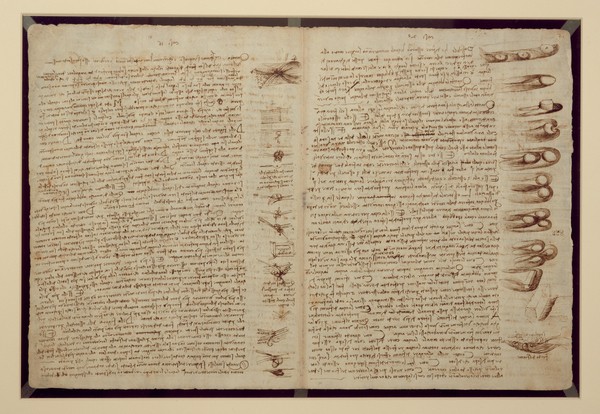 Leonardo da Vinci, A page from the Codex Leicester, 1508-12 (sepia ink on linen paper)