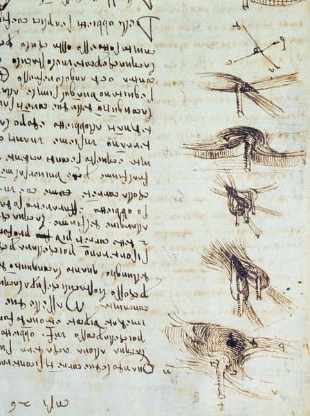 Leonardo da Vinci, Scientific diagrams, from the 'Codex Leicester', 1508-12 (sepia ink on linen paper) (detail of 227790)
