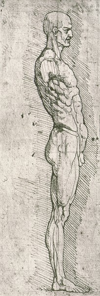 Leonardo da Vinci, Anatomical Study (pen and ink on paper) (b/w photo)