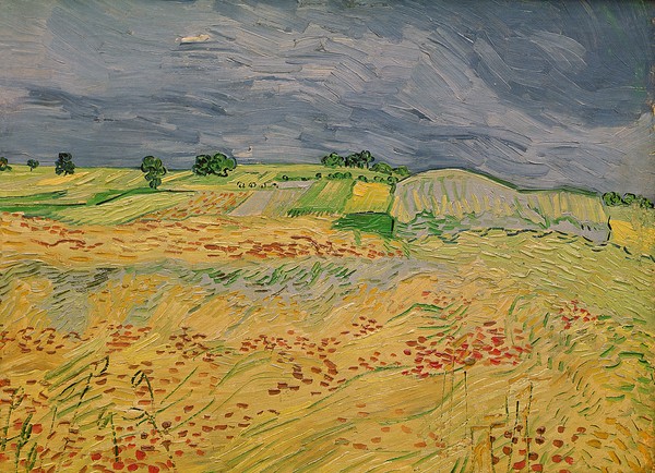 Vincent van Gogh, Plain at Auvers, 1890 (oil on canvas)