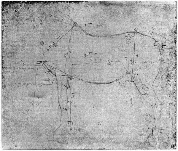 Leonardo da Vinci, Study of a Horse (metal point on paper) (b/w photo)
