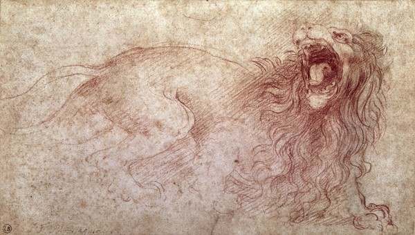Leonardo da Vinci, Sketch of a roaring lion (red chalk on paper)
