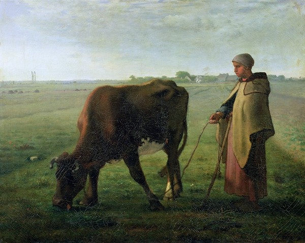 Jean-Francois Millet, Woman Grazing her Cow, 1858 (oil on canvas) (Landwirtschaft, Viehhüterin,Kuhhirtin, Frau, Kuh, Weide, grasen,   Bauerngenre, Realismus, Malerei, Wohnzimmer, Klassiker, Wunschgröße, bunt)