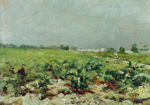 Henri de Toulouse-Lautrec, Celeyran, View of the Vineyard, 1880 (oil on canvas)