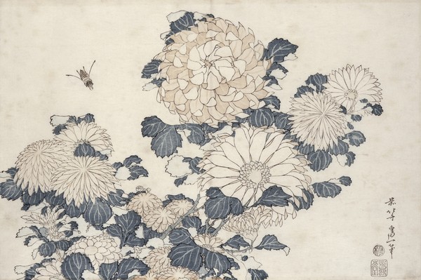 Katsushika Hokusai, Bee and chrysanthemums, from the series 'Big Flowers' (colour woodblock print)