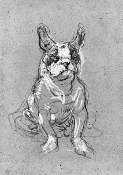 Henri de Toulouse-Lautrec, 'Bouboule', the bulldog of Madame Palmyre at La Souris, 1897 (oil on cardboard) (b/w photo)