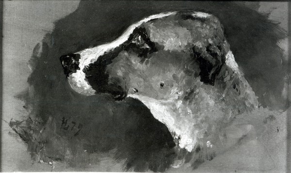 Henri de Toulouse-Lautrec, Head of a Dog with Short Ears, 1879