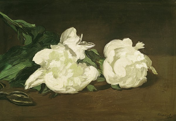 Edouard Manet, Branch of White Peonies and Secateurs, 1864 (oil on canvas)